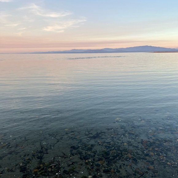 Shop with Chantelle 🌸🦋 - Picture 6 of 7